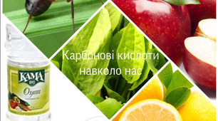 Презентація "Карбонові кислоти", 10 клас