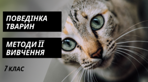 Презентація на тему "Поведінка тварин та методи її вивчення"