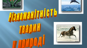 Різноманітність тварин у природі
