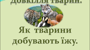 Довкілля тварин. Як тварини добувають їжу.