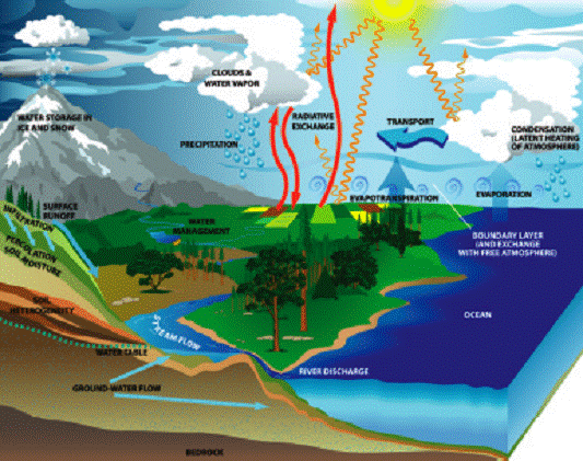 FACTORII ECOLOGICI – CYD.RO