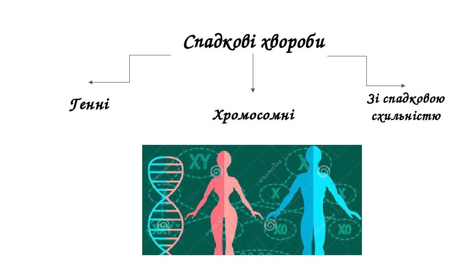 Синдром клайнфельтера презентация по генетике