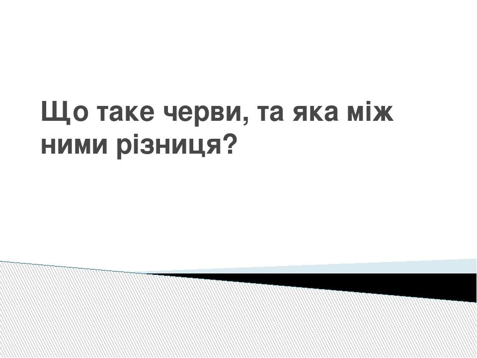 Що таке черви, та яка між ними різниця?
