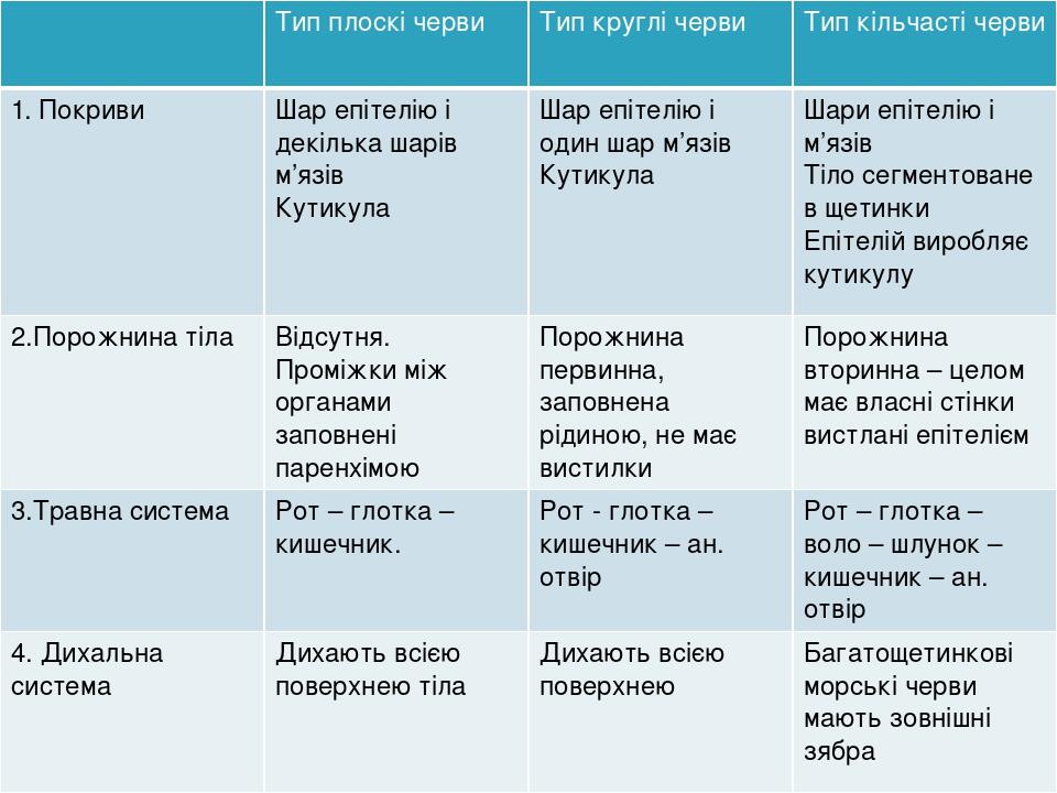 Тип плоскі черви Тип круглі черви Тип кільчасті черви 1. Покриви Шар епітелію і декілька шарів м’язів Кутикула Шар епітелію і один шар м’язів Кутик...