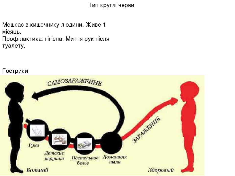 Тип круглі черви Гострики Мешкає в кишечнику людини. Живе 1 місяць. Профілактика: гігієна. Миття рук після туалету.