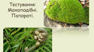 Мохоподібні. 