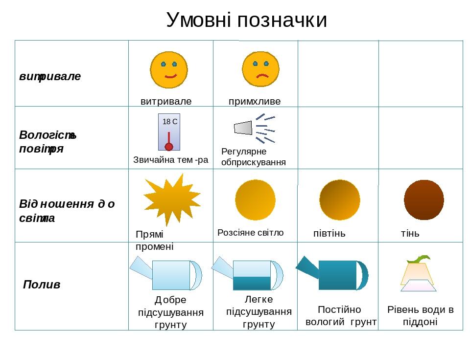 Схема полива овощей