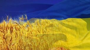 (Копія) Суспільно-політичне життя України в 2010-2013 рр.