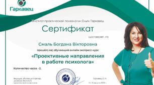 Проективні напрямки в роботі психолога