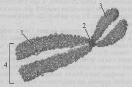 0200ohec-cca5.jpg