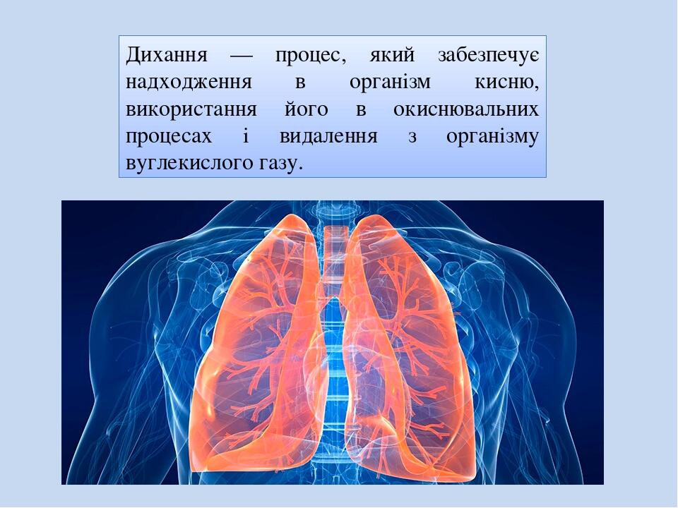 Дихання — процес, який забезпечує надходження в організм кисню, використання його в окиснювальних процесах і видалення з організму вуглекислого газу.