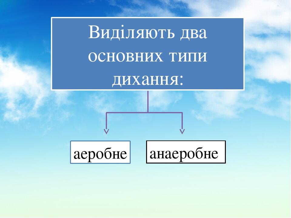 Виділяють два основних типи дихання: анаеробне аеробне