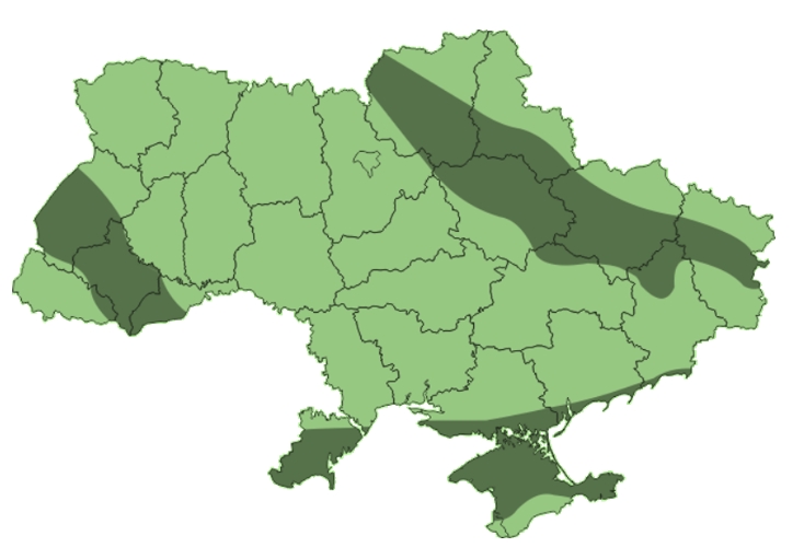 0200ohzj-14d4.jpg