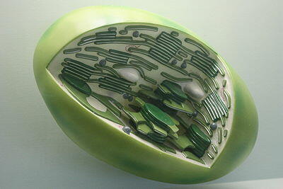 0200oilx-977f.jpg