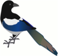 0200oiqm-8999.png