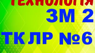 Електротехнологія. ТК ЛР №6. (загальний)