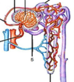 0200olgf-a2e7-70x78.png