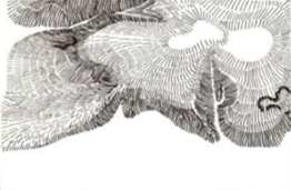 0200ompq-d1b2.png