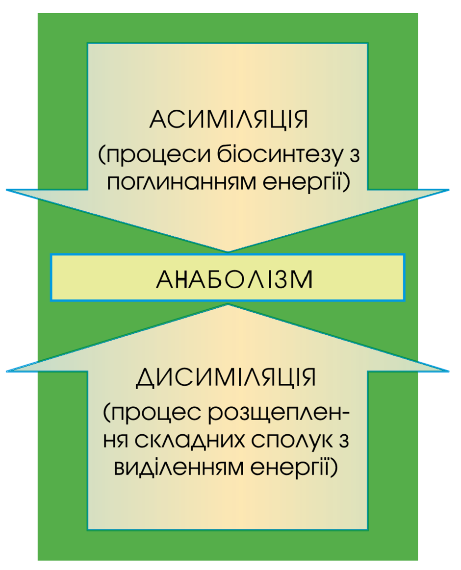 0200oqbx-c539-940x1163.png