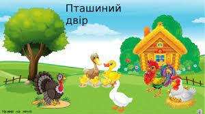 Музично дидактична ритмічна гра "Пташиний двір" для учнів 1-3 класу