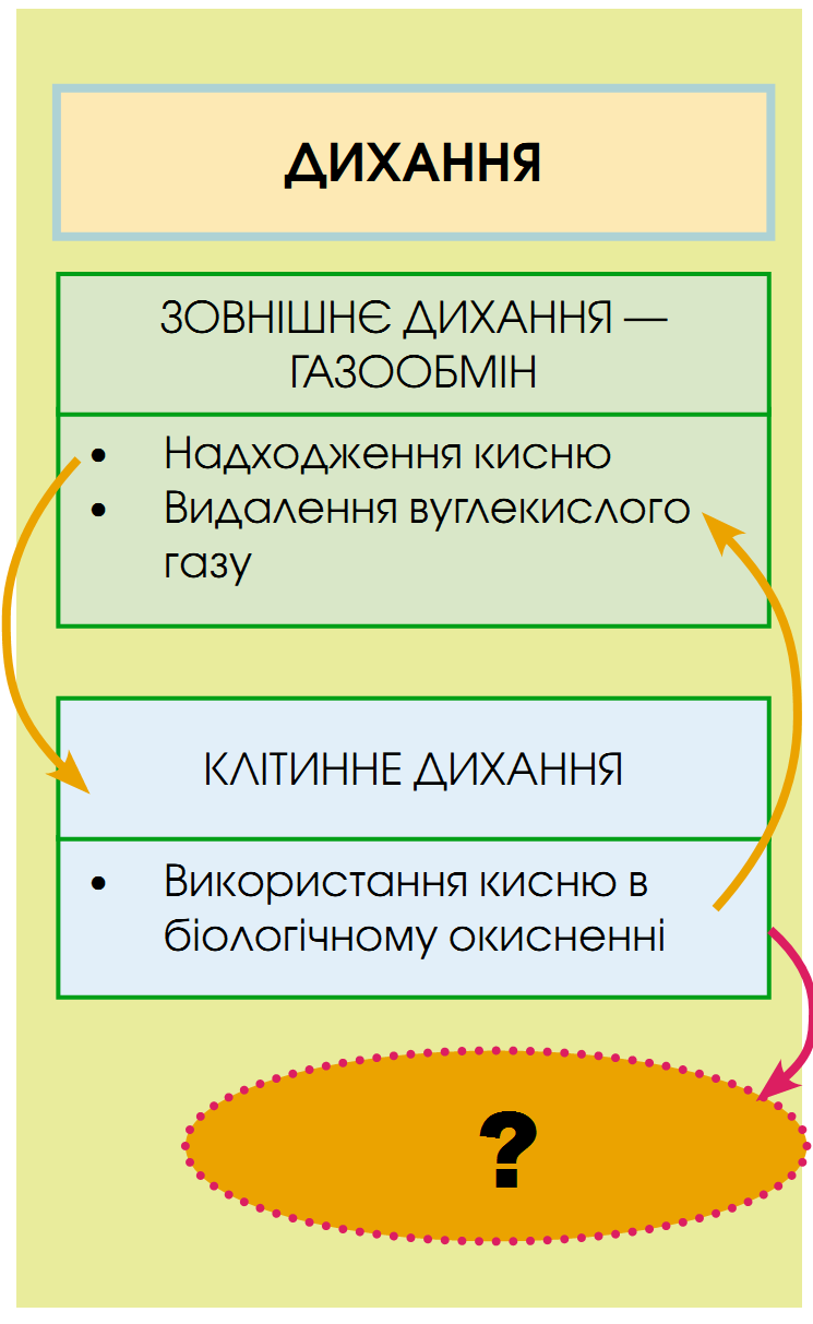 0200oqf4-4ea9.png
