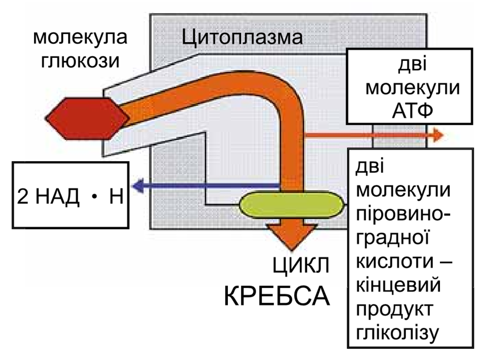 0200oqfa-cd9f-940x708.png