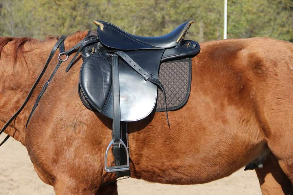 0200orbg-1539-940x626.jpg