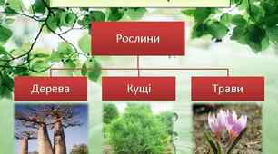 Картка для уроку; природознавство 5 клас, Відмінність рослин і тварин.