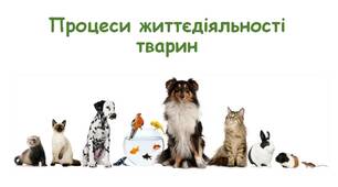 Залікова робота "Процеси життєдіяльності тварин"