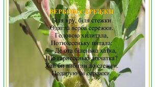 Мнемотаблиця для вивчення  вірша Ліни Костенко "Вербові сережки"