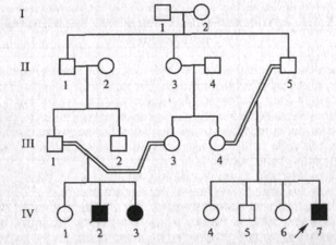 0200owh7-05e9-308x225.png