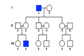 0200owkd-4528-335x223.png