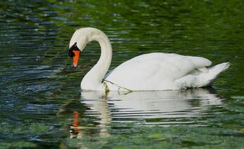 0200oy4r-9cb3-347x213.jpg