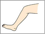 0200oyp3-b2a0-512x390.jpg