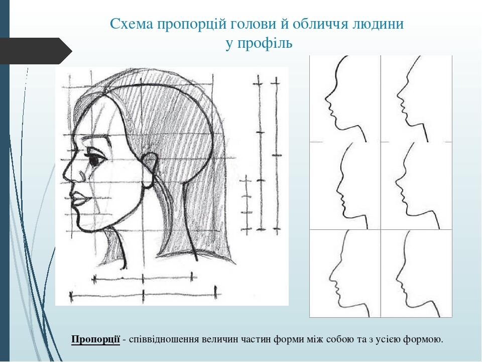 Пропорции фотографии онлайн