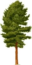 0200p3c8-3a80-102x210.png