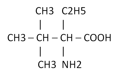 0200p538-1093-405x248.png