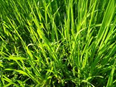 0200p6eq-51d7-181x136.png