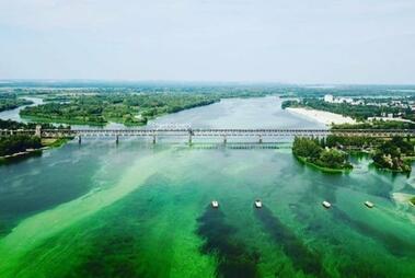 0200p6p3-f2ff-379x254.jpg