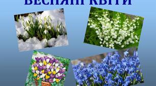 Презентація " 15 РАННІХ ВЕСНЯНИХ КВІТІВ" НУШ