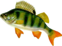 0200p8cn-944f-122x90.png