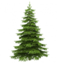 0200p8e0-07df-85x92.png