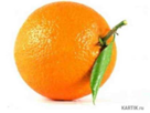 0200p8ew-d3ca-136x102.png