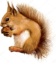 0200p8gc-aba8-82x92.png