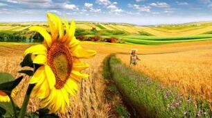 Україна – єдина країна