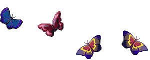0200pbe7-6404-300x120.gif