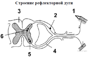 0200pboq-87db-305x197.png