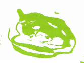 0200pdub-e8ef-166x125.png