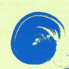 0200pdut-397b-137x138.png