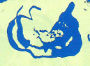 0200pdv2-539c-129x95.png